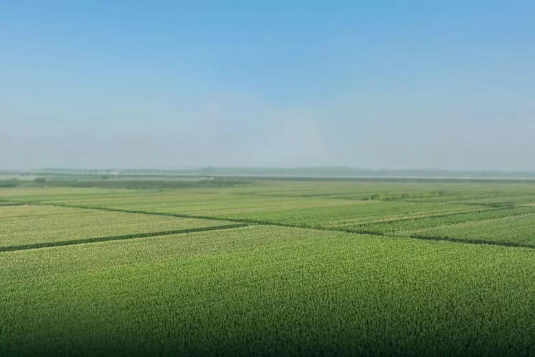 Agricultura de precisión