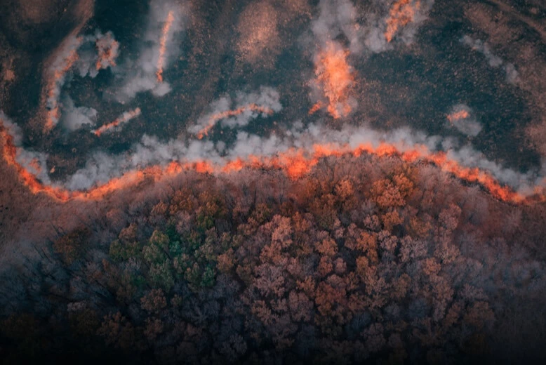 Incendios forestales